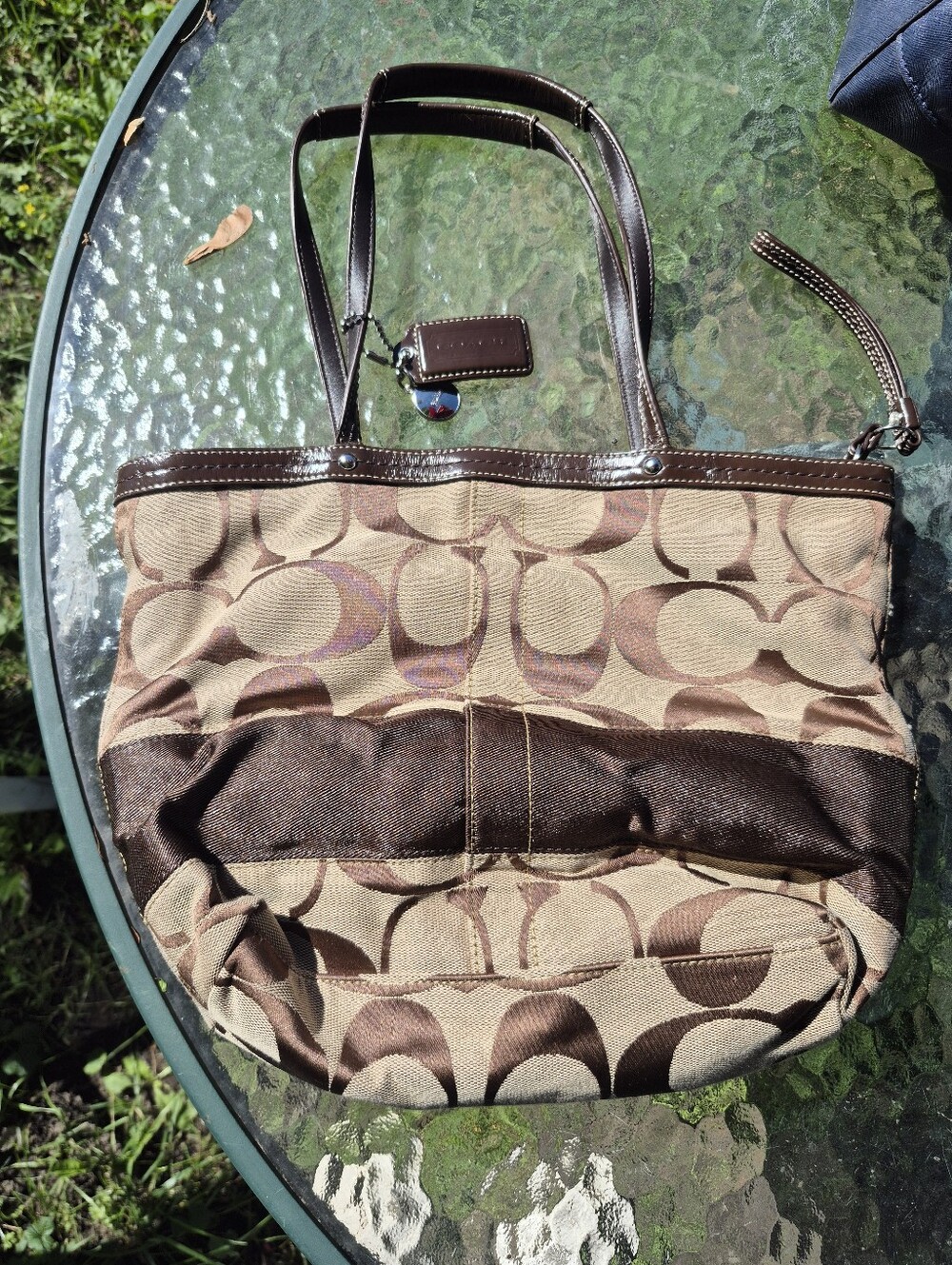 Brown Patterned Women’s Tote Bag